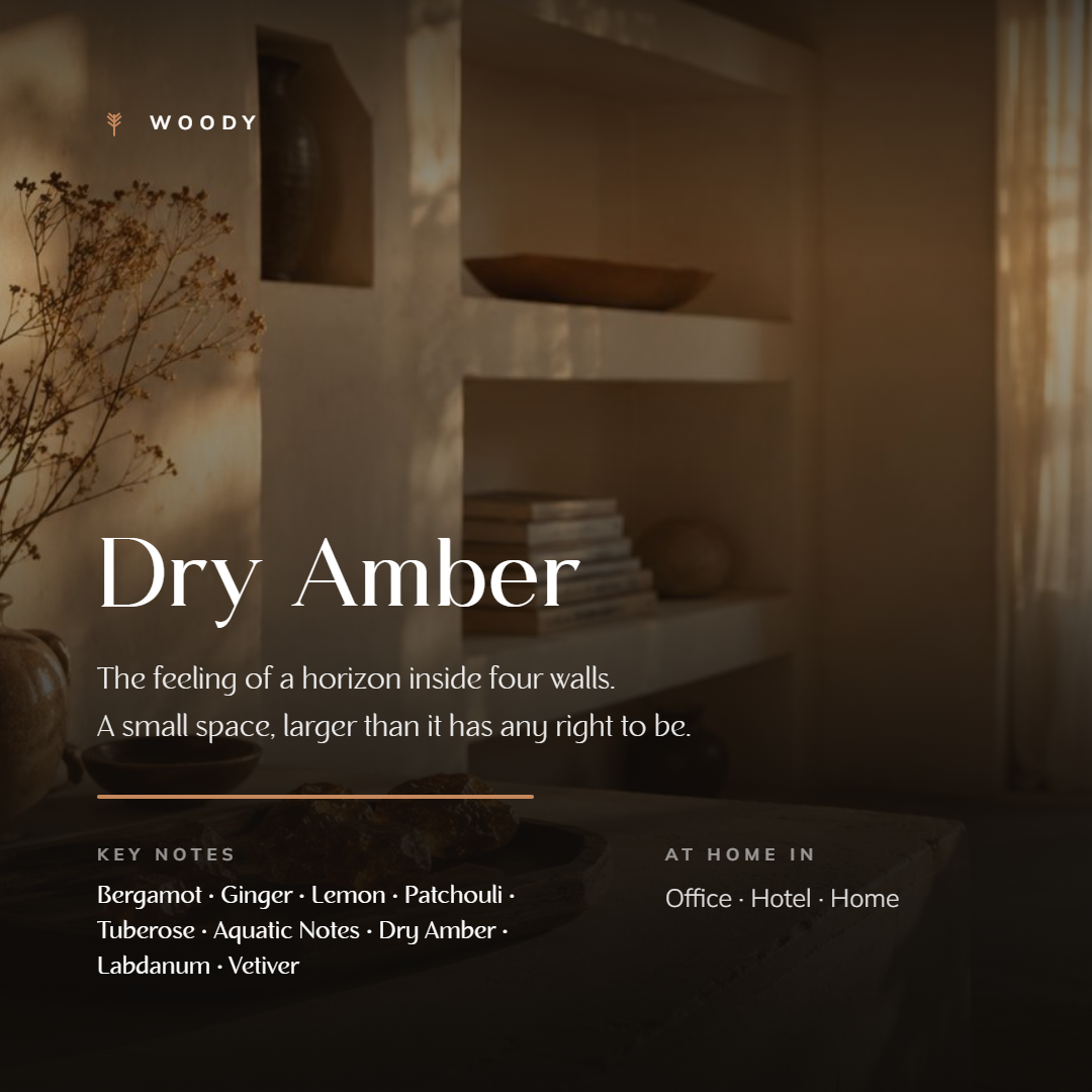 Dry_Amber_story