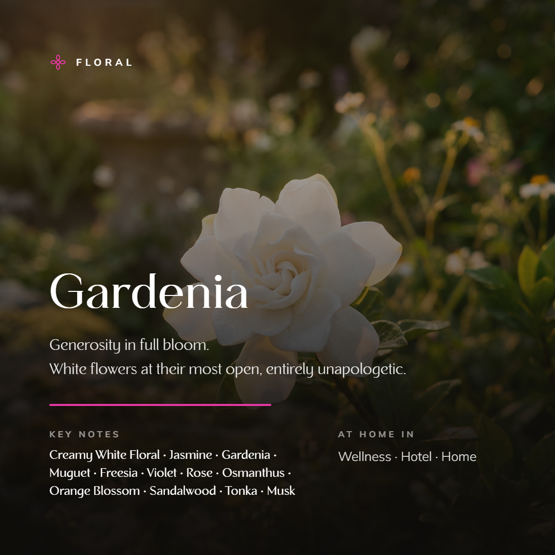 Gardenia_story