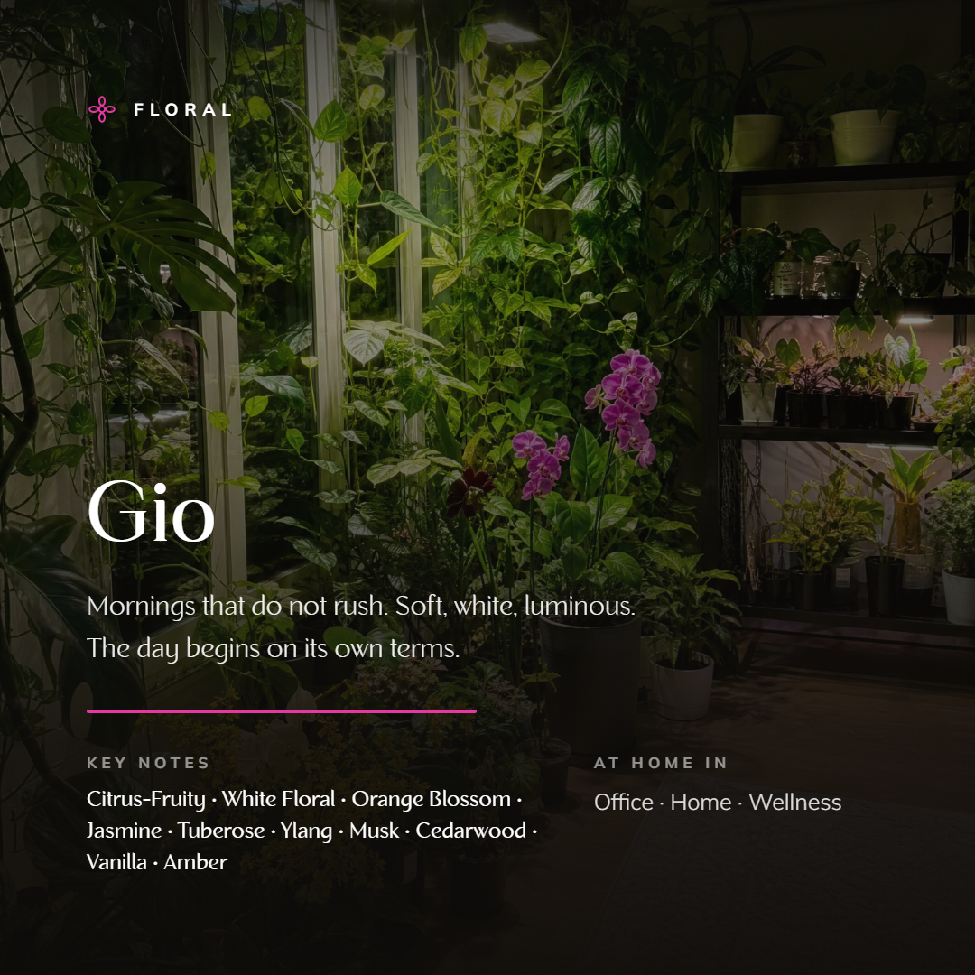 Gio_story