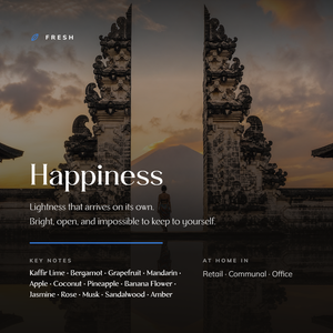 Happiness_story