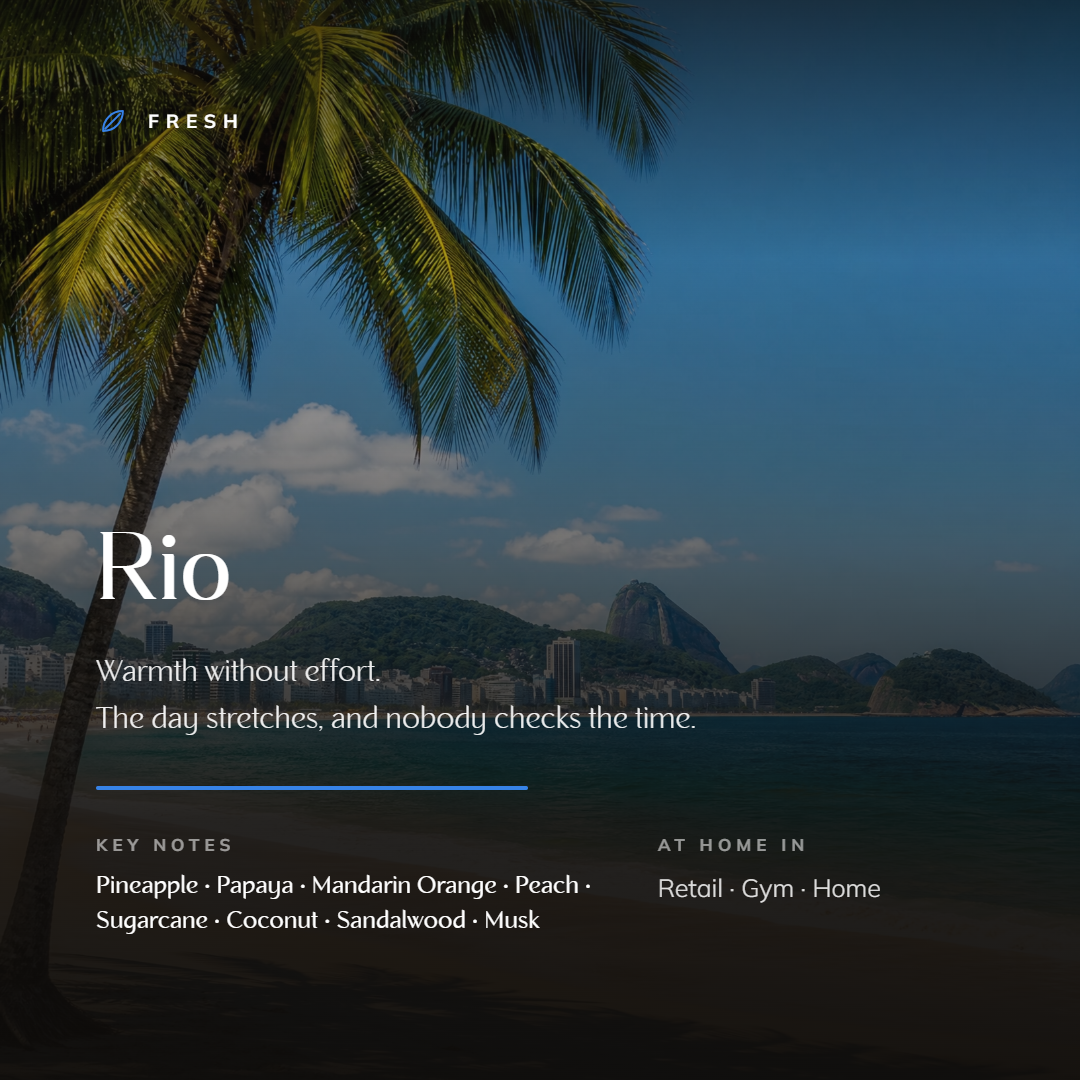 Rio_story