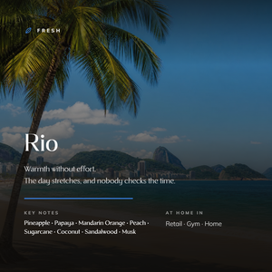 Rio_story