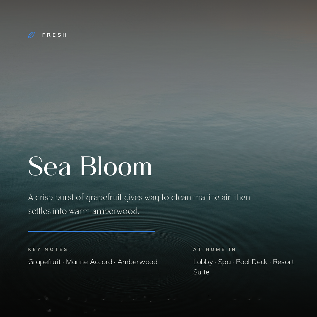 Sea_Bloom_story