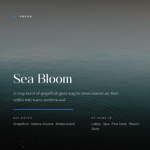 Sea_Bloom_story