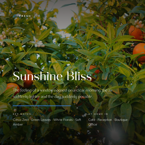 Sunshine_Bliss_story