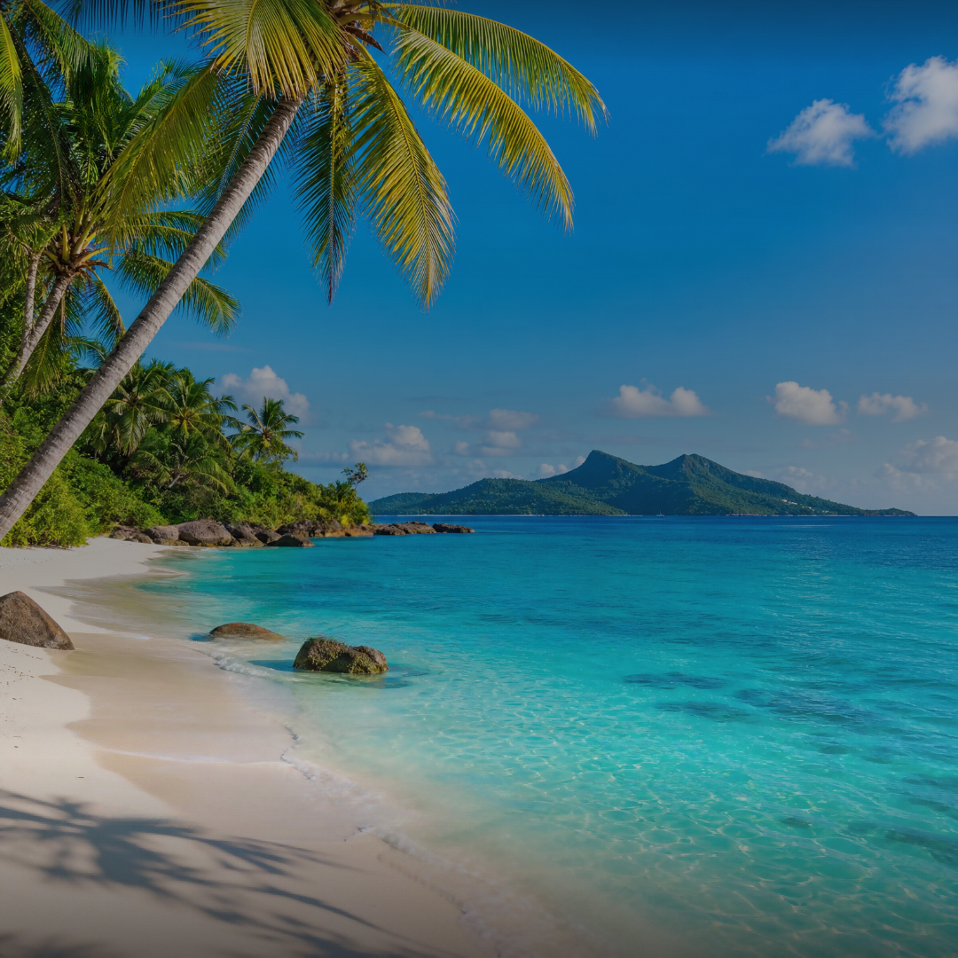 Tropical aroma oil by Scentation