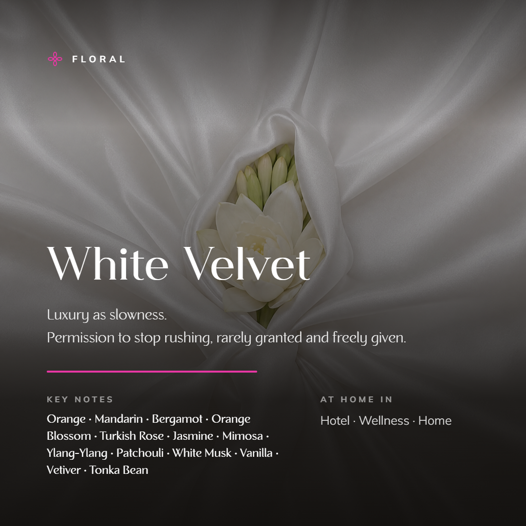 White_Velvet_story